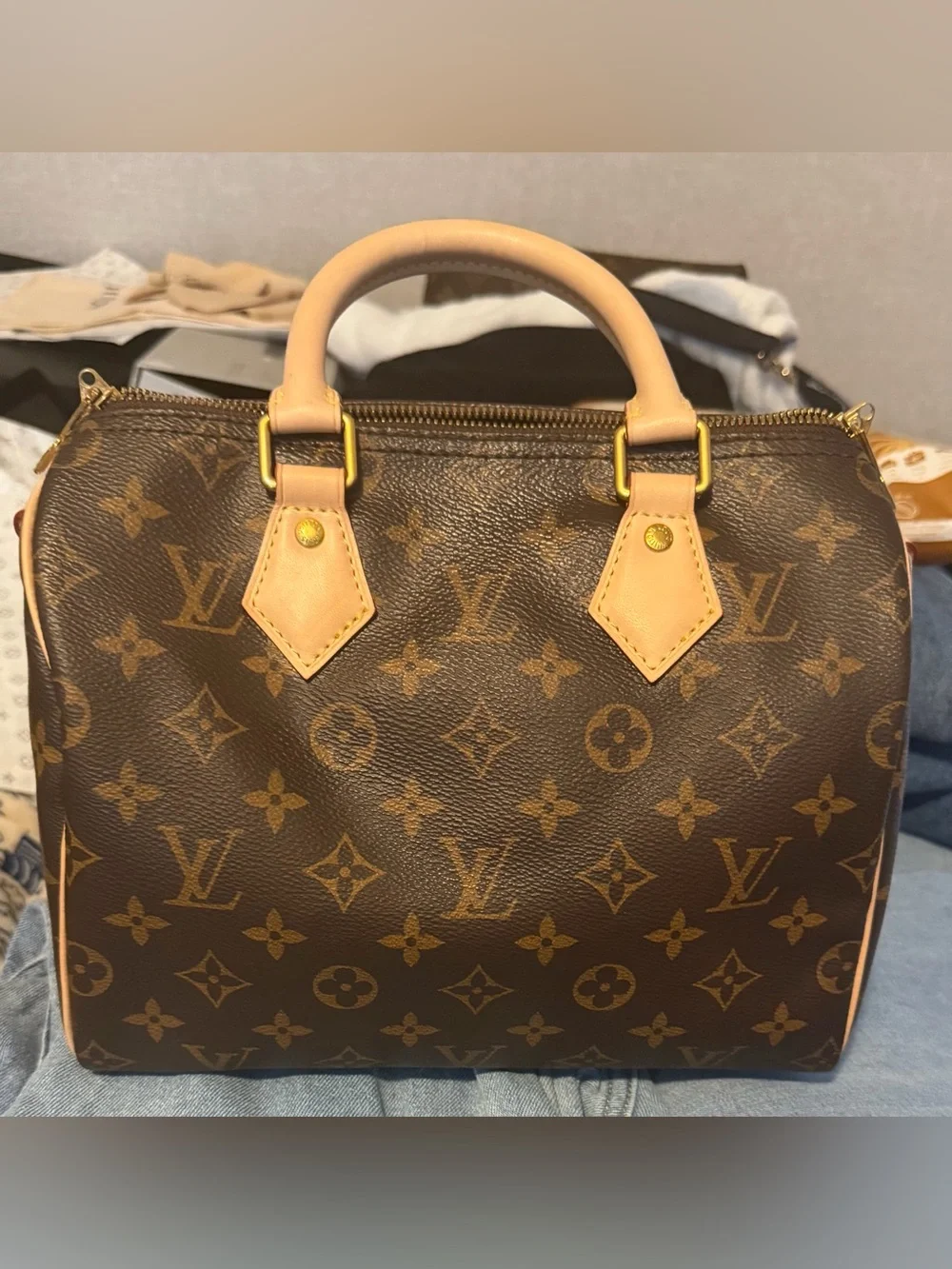 Louis Vuitton Speedy Bandouliere 25 bag